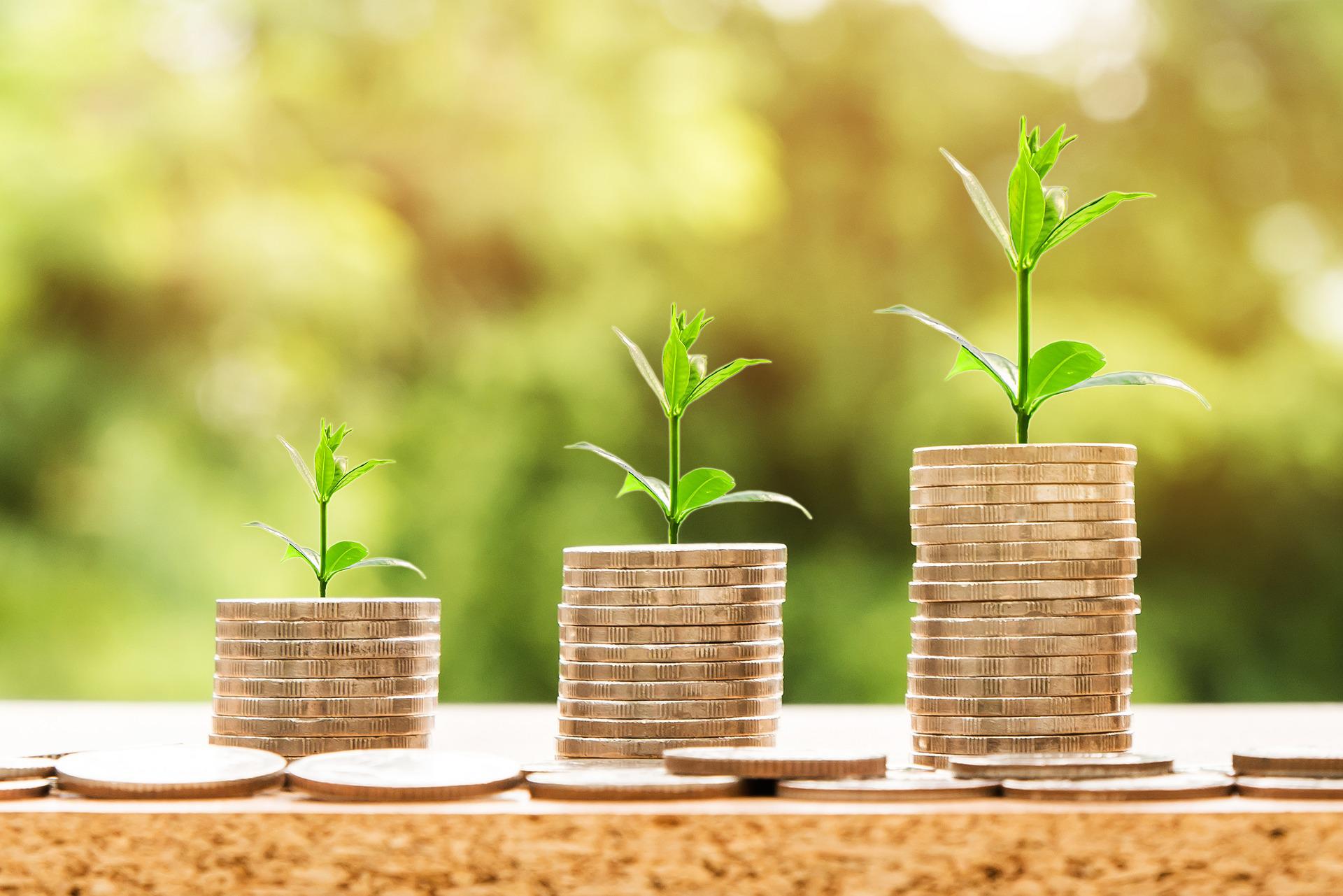 E-commerce et ROI : le guide pour optimiser son site